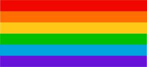 A 6 colour rainbow pride flag